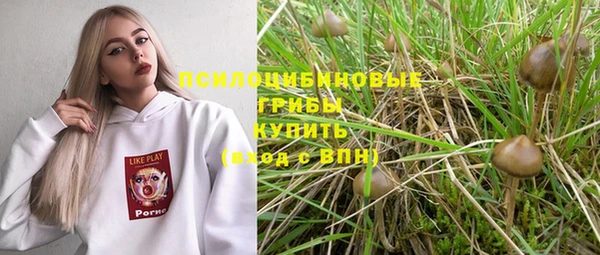 дмт Абинск