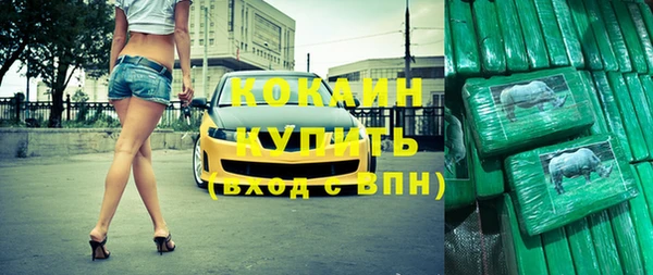 ГАЛЛЮЦИНОГЕННЫЕ ГРИБЫ Абаза