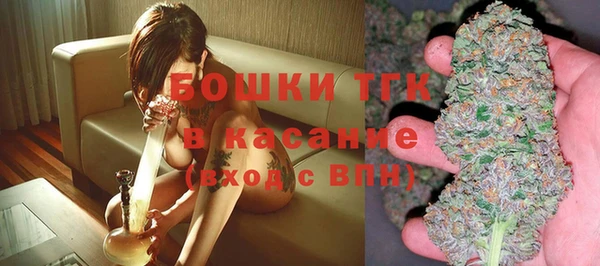 ГАЛЛЮЦИНОГЕННЫЕ ГРИБЫ Абаза