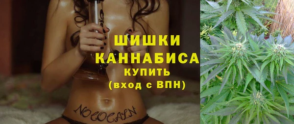 ГАЛЛЮЦИНОГЕННЫЕ ГРИБЫ Абаза