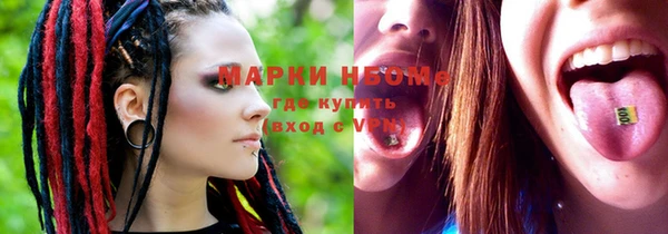 ГАЛЛЮЦИНОГЕННЫЕ ГРИБЫ Абаза