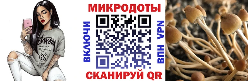 Псилоцибиновые грибы мухоморы  мега   Иркутск 
